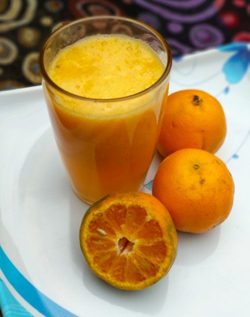 Make orange juice at home shop